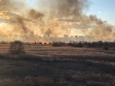 Incendiul din Delta Văcăreşti din Capitală a fost stins după 4 ore / 11 echipaje ale ISU au intervenit pentru stingerea tuturor focarelor