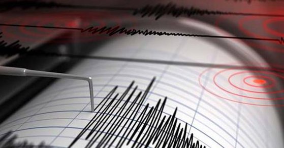 Cutremur în Vrancea. Magnitudinea înregistrată de seism