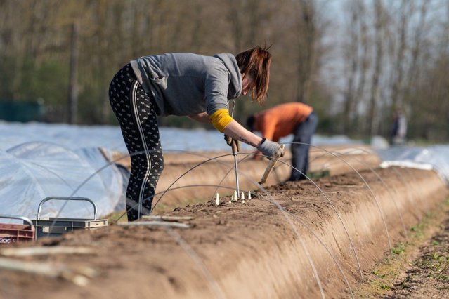 Un român, muncitor sezonier la o fermă din Bavaria, confirmat cu COVID 19