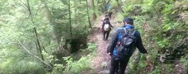 VIDEO | Patru turişti s-au întâlnit cu un urs pe un traseu din Buşteni