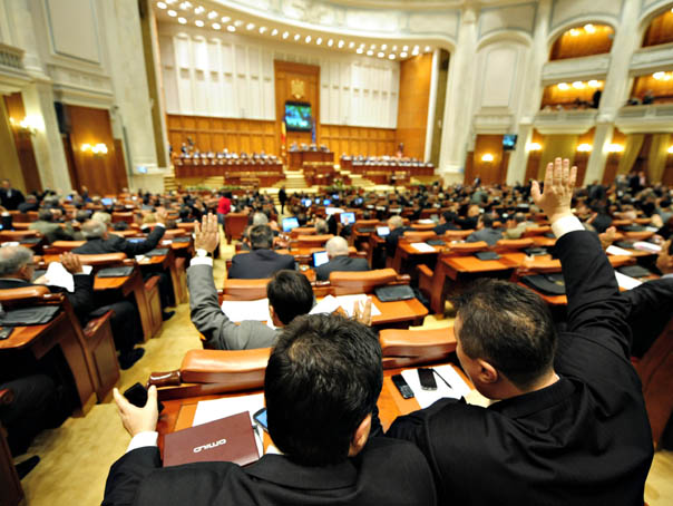 Parlamentul a numit noi membri ai conducerii CNCD