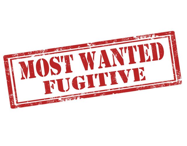 „Most Wanted”. Unul din cei mai căutaţi români din lume, prins în Irlanda. Ce infracţiuni a comis