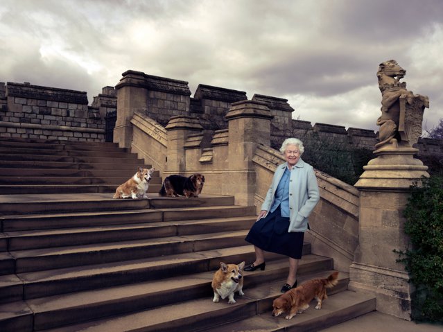 Regina Elisabeta a II-a se desparte de încă un animal de companie. Câinele său, Vulcan, a murit