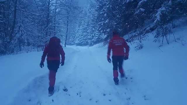 Doi excursionişti surprinşi de o avalanşă în Elveţia, salvaţi de câinii lor