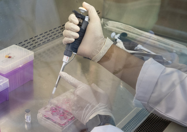 Oamenii de ştiinţă lucrează la vaccinuri pentru noile variante de coronavirus. Testare lor va începe în curând