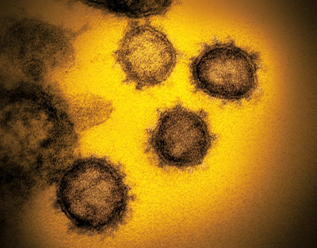 STUDIU. Pandemia de coronavirus a fost apoape să nu se întâmple. Cercetărorii au descoperit când a apărut prima infectare la om