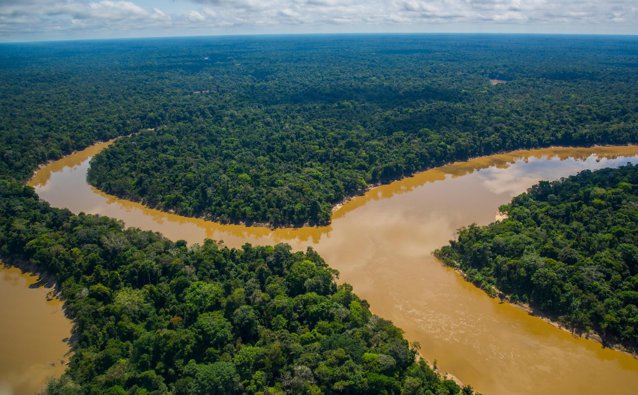 Studiu alarmant: Pădurea amazoniană a emis mai mult CO2 decât a absorbit