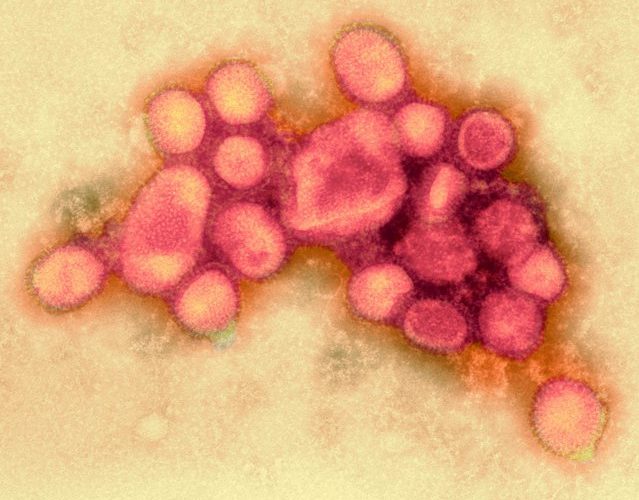 China anunţă că a depistat primul caz din lume de gripă aviară H10N3 la om