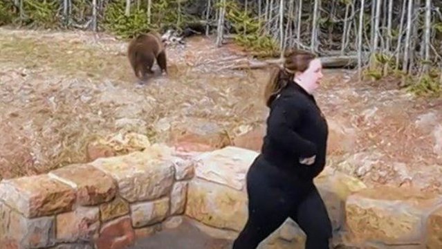 VIDEO O femeie a fost condamnată la închisoare pentru că s-a apropiat prea mult de un urs grizzly