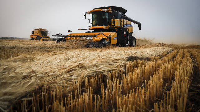 Surse franceze spun că „destul de probabil” ca Ucraina să nu poată recolta sau exporta grâu în acest an
