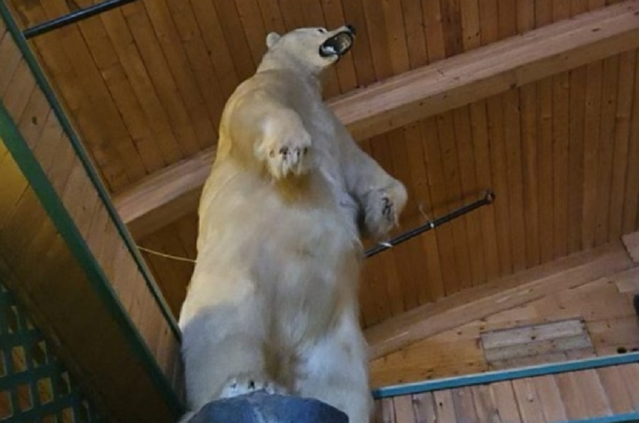 Un urs împăiat, de 3,6 metri şi 225 de kilograme, a dispărut de pe soclul său din Canada