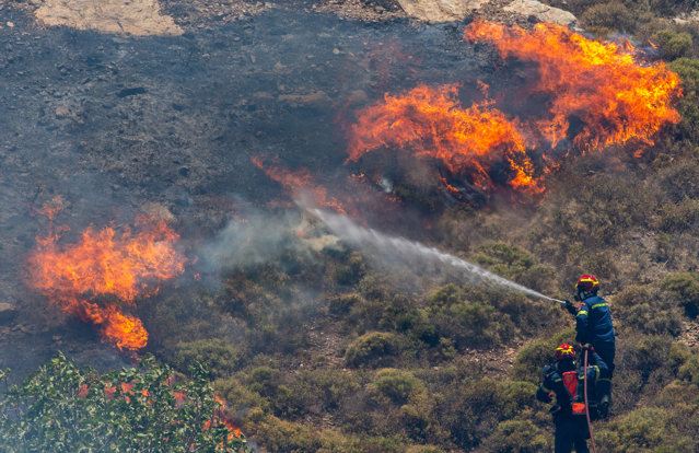 Incendii de vegetaţie în Portugalia. Trei pompieri au murit