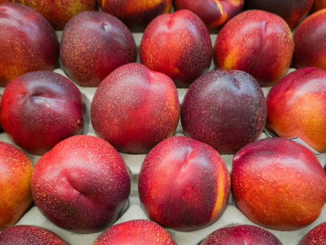 Nectarine din Turcia, retrase de urgenţă din magazine în România din cauza pesticidelor în exces