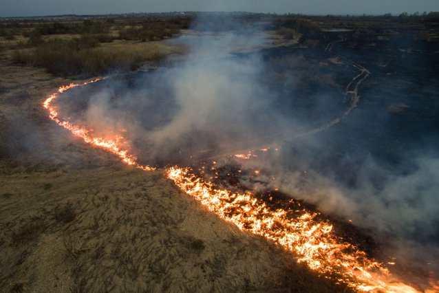 Portugalia cere ajutorul Europei în timp ce incendiile de vegetaţie fac ravagii