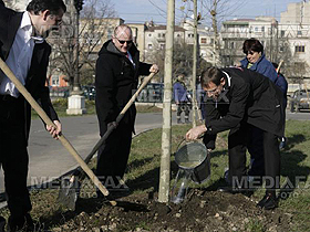 Zeci de mii de copaci vor fi plantaţi în Sectorul 1 în zone cu vegetaţie spontană şi moloz