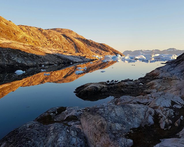 Antarctica „înverzeşte” într-un ritm alert din cauza schimbărilor climatice - studiu