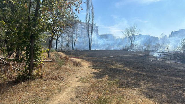 Bucureştenii, chemaţi să formeze un lanţ uman în jurul Parcului IOR pentru a opri distrugerile