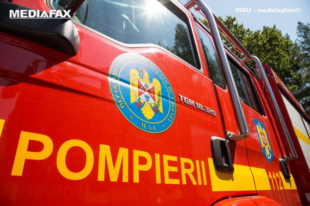 22 de câini au murit într-un incendiu. Proprietarul fusese amendat recent pentru nereguli grave