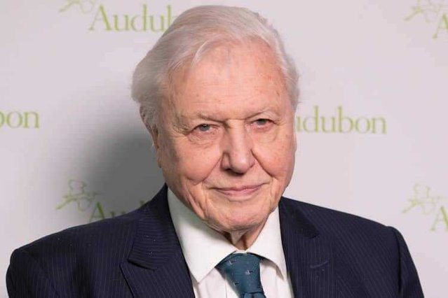 David Attenborough, „profund deranjat” de inteligenţa artificială care i-a imitat vocea