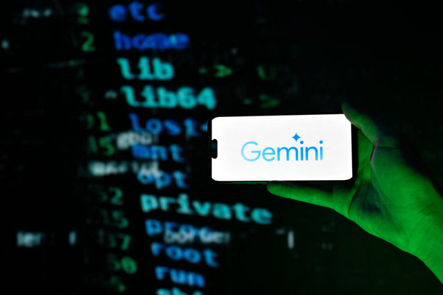 Google face curat în interfaţa aplicaţiei Gemini AI