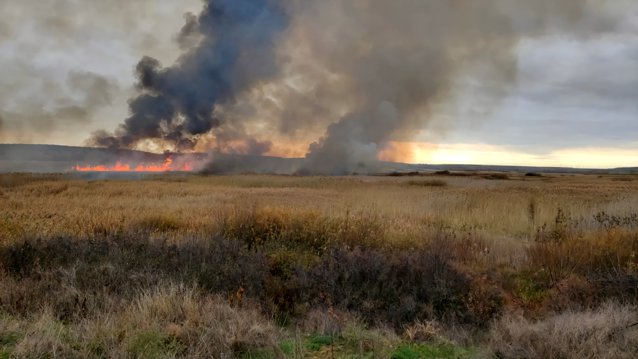 Incendiu de vegetaţie şi stuf izbucnit în Delta Neajlovului. Ard circa 60 de hectare