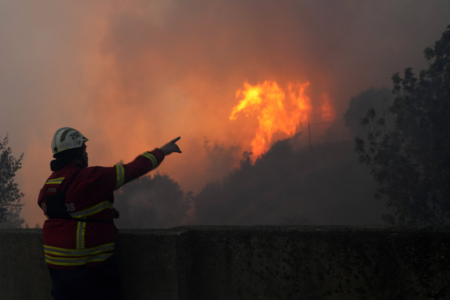 Locuitorii din New York, nevoiţi să raţionalizeze apa după o serie de incendii de vegetaţie