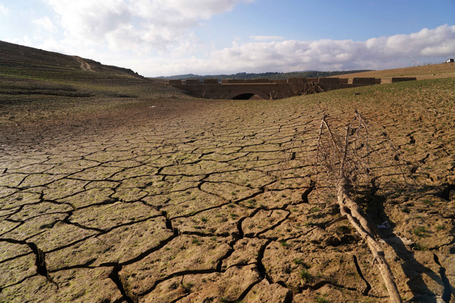 Schimbările climatice afectează agricultura: România a ajuns Tunisia, apa va fi cotată la Bursă