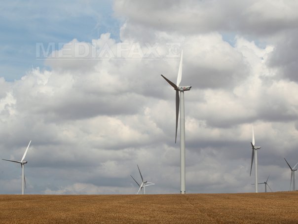 Crăciun eolian: jumătate din energia consumată a venit de la “morile de vânt” din Dobrogea