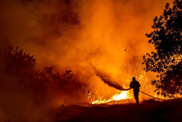 Atenţionare de călătorie în Uruguay din cauza incendiilor de pădure