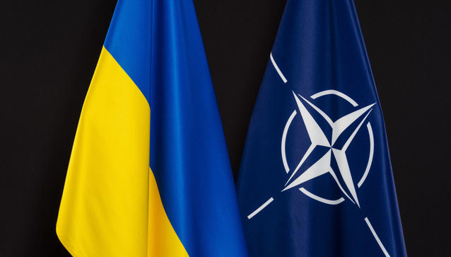 Consiliul Interparlamentar Ucraina-NATO adoptă o declaraţie comună de sprijin pentru Ucraina