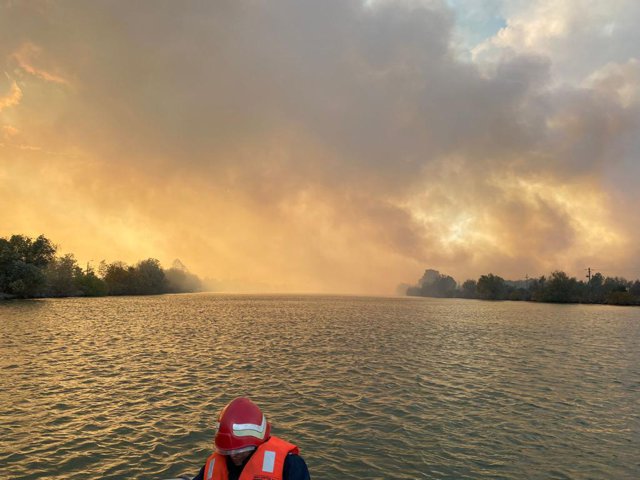 Incendiu de vegetaţie în Delta Dunării: pompierii monitorizează zona de nord a oraşului Sulina