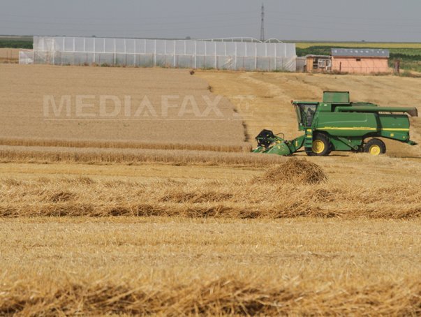 Comerţul agroalimentar UE-Ucraina a atins un record de 17 miliarde de dolari în 2024