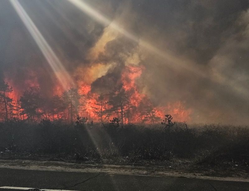 Guvernatorul New York-ului declară stare de urgenţă în urma incendiilor de pădure pe Long Island