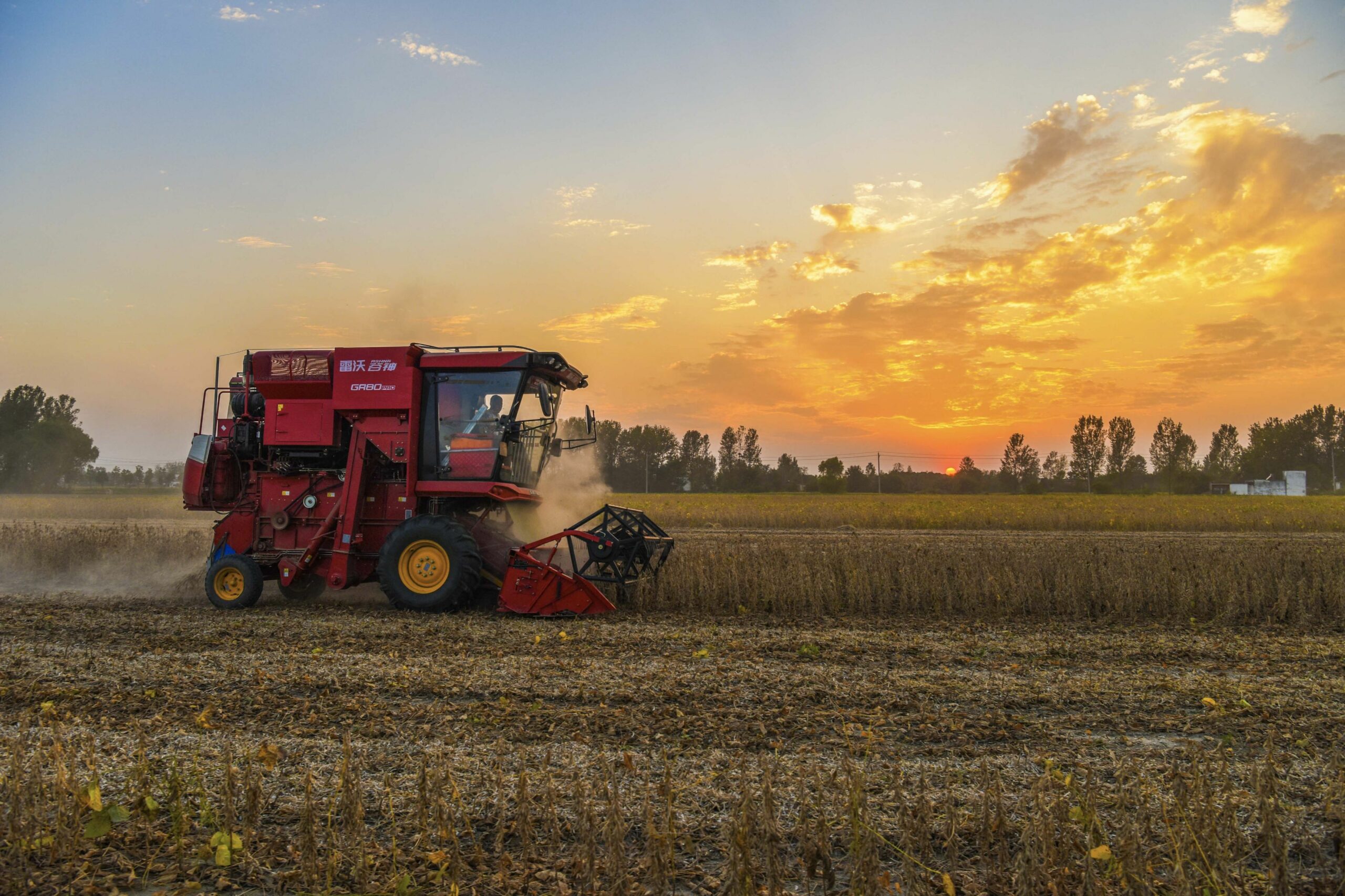 Guvernul aprobă sprijin de aproape 1,5 miliarde de lei pentru fermieri