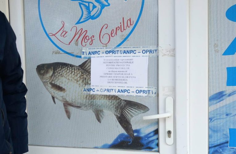 Controale ANPC: Vitrine murdare, gândaci și pește expirat, descoperite în magazinele de profil