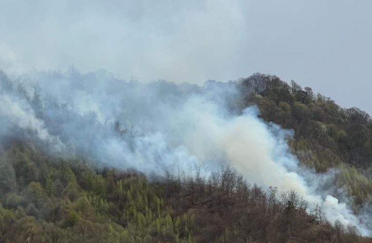 Intervenție de urgență în Argeș, unde arde o pădure în Vinerea Mare