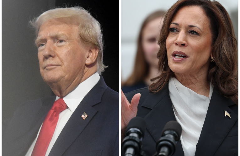 Kamala Harris, discurs critic la adresa lui Trump: Invită o recesiune