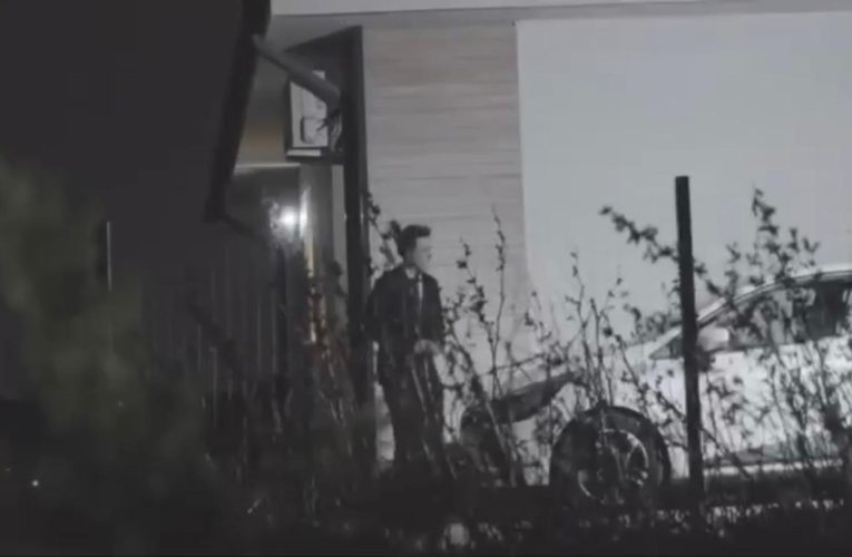 Lasconi publică fotografii de la o întâlnire a lui Nicușor Dan cu Florian Coldea