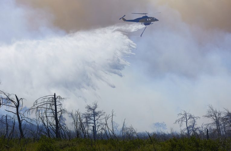 Grecia: Incendiu de vegetație de amploare lângă Atena. S-a dispus evacuarea orașului Marathon