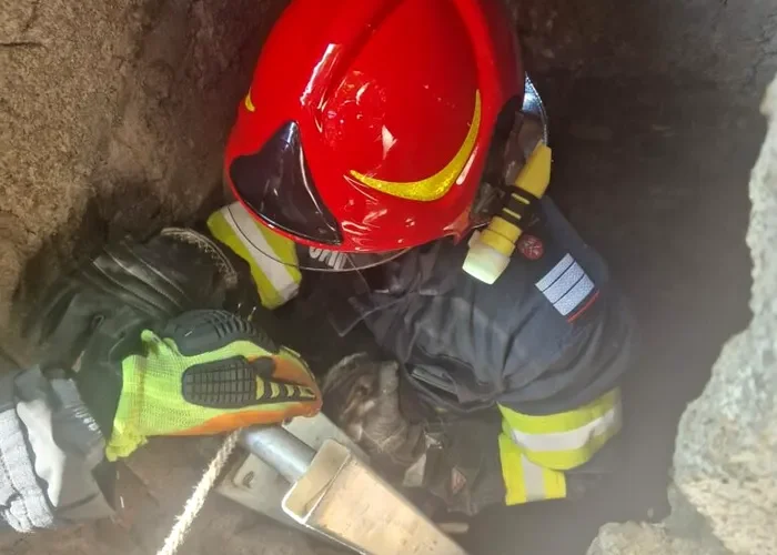 Misiune reușită: Pui de pisică, salvat de pompieri dintr-o fântână de 4 metri