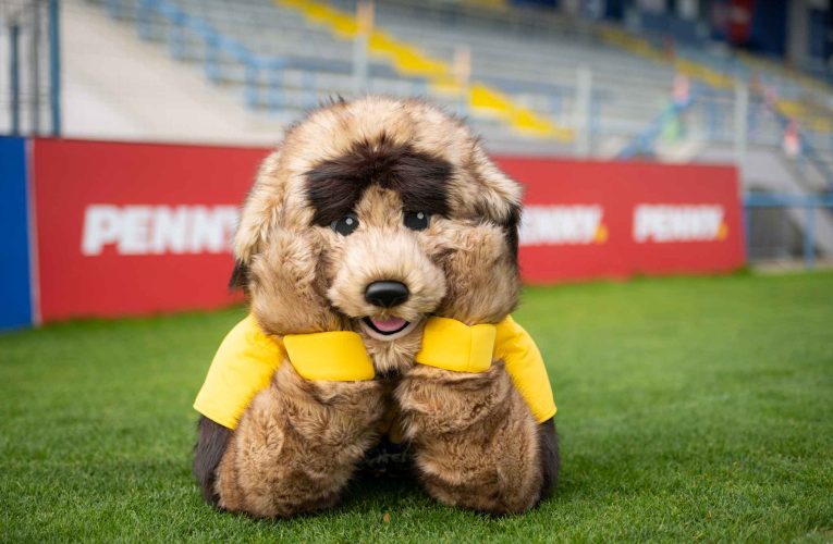 Sezonul fotbalistic a început la PENNY
