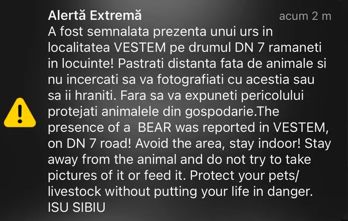 Alertă în Sibiu: Urs semnalat pe DN7, în zona localității Veștem. Mesaj RO-Alert transmis populației