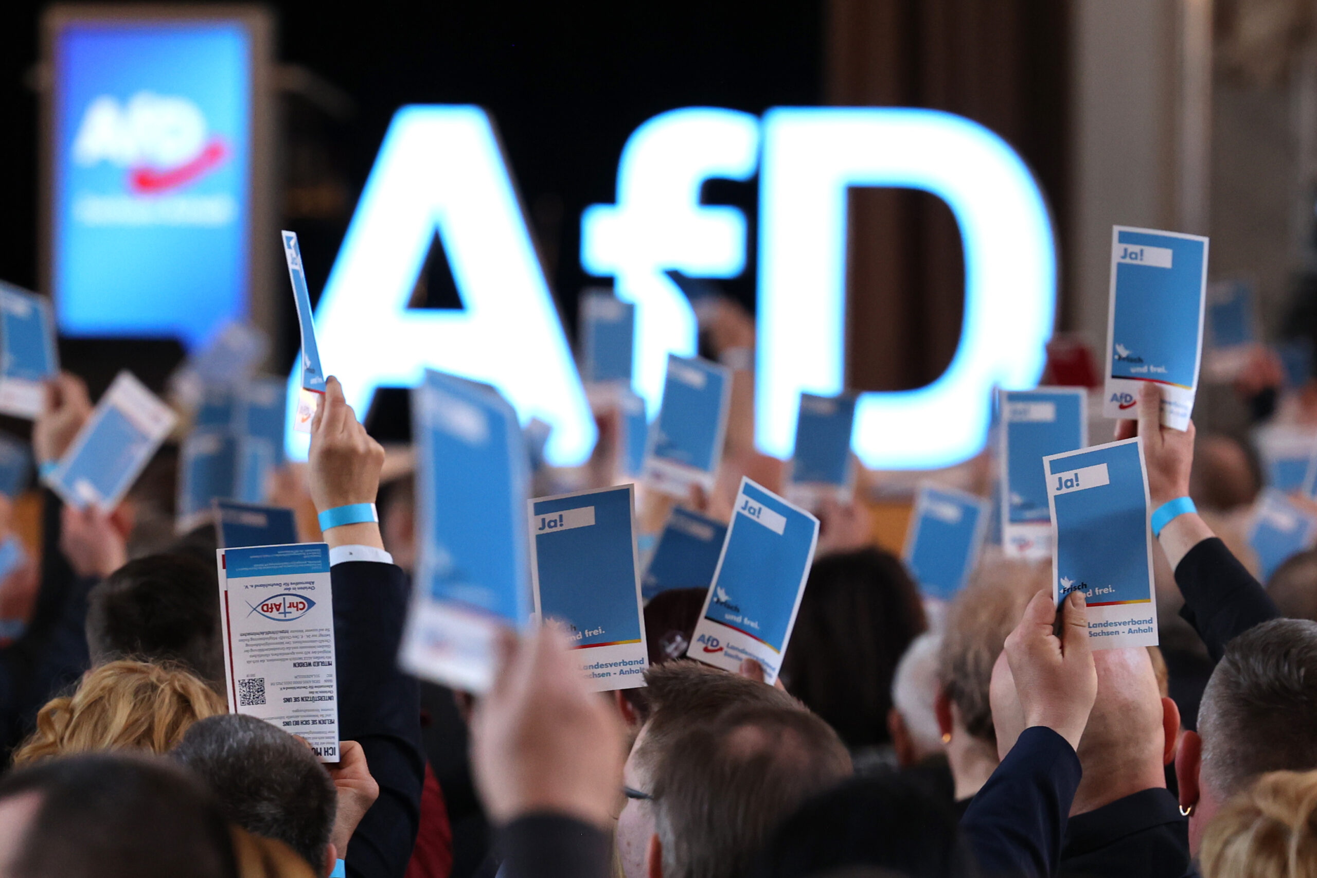 Demisie în legislativul din Germania după un simbol nazist desenat în semn de protest împotriva AfD