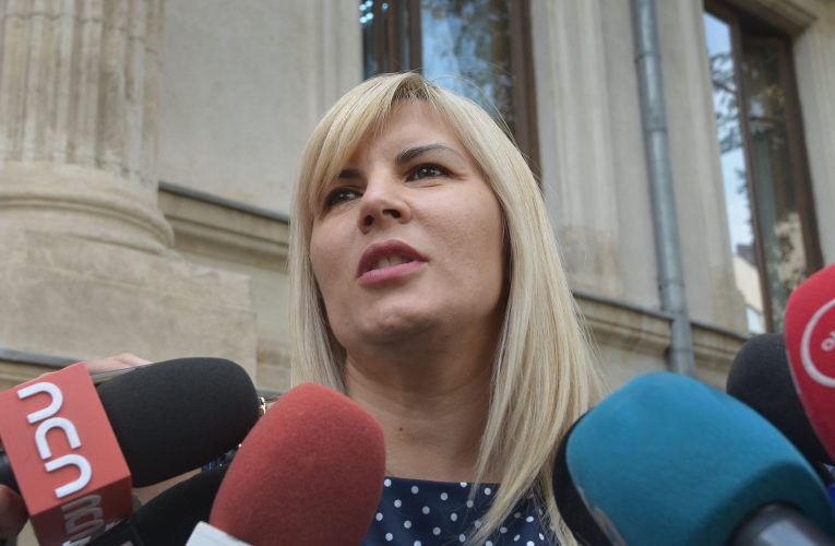 DNA a contestat decizia de eliberare condiționată a Elenei Udrea