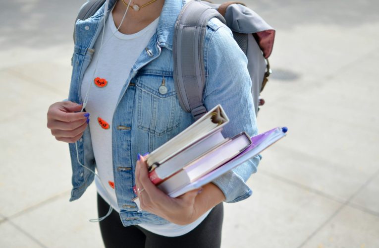 Guvernul reglementează bursele pentru tinerii care vor să studieze în străinătate