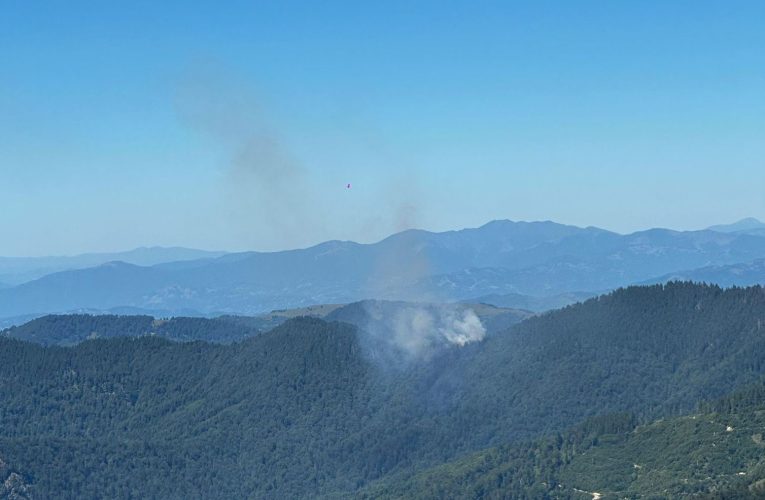 Incendiu de proporții în Masivul Țibleș. Intervenție aeriană și terestră în zonă greu accesibilă