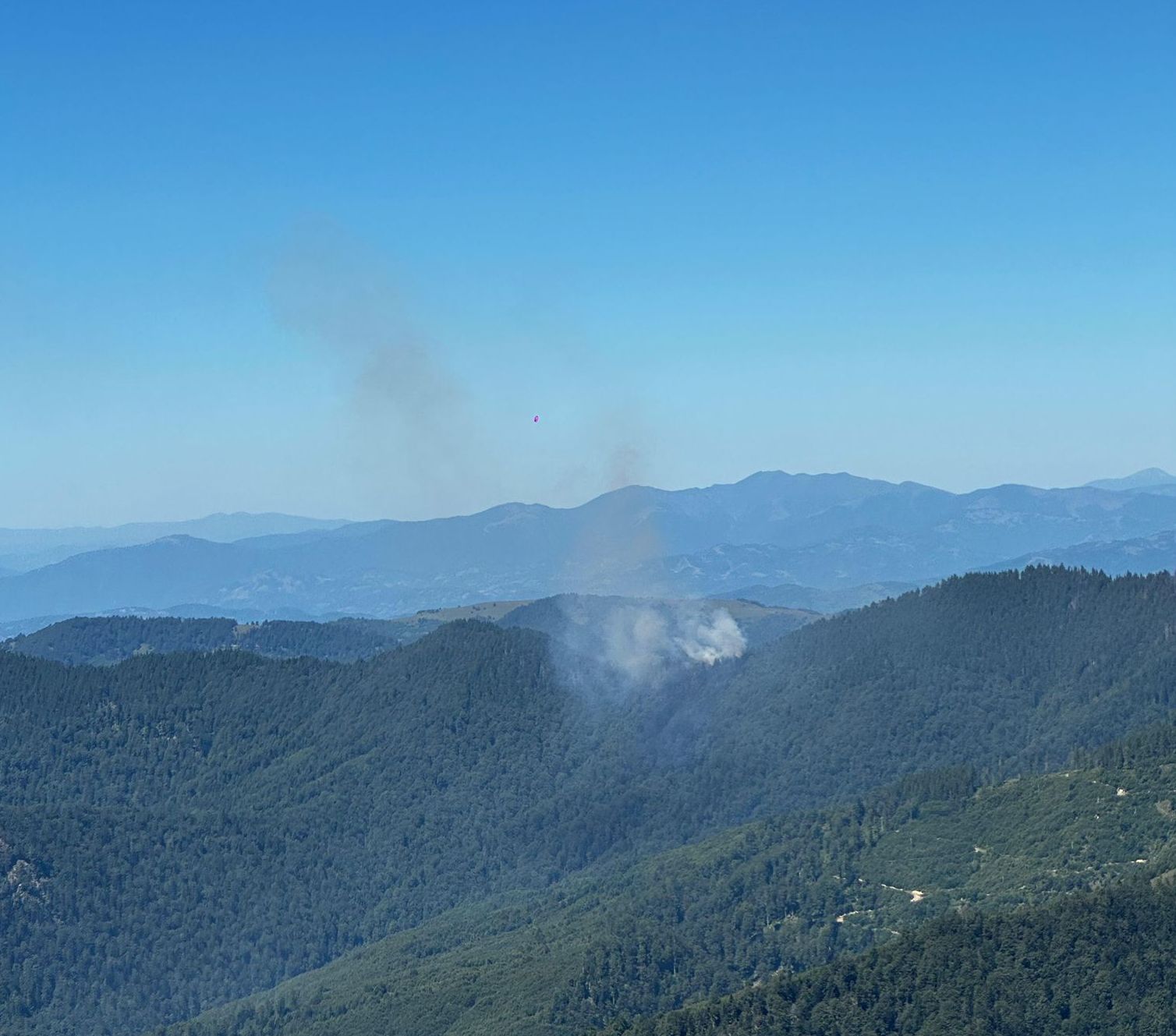 Incendiu de proporții în Masivul Țibleș. Intervenție aeriană și terestră în zonă greu accesibilă