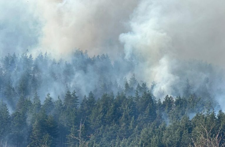 Incendiu de vegetație într-o zonă greu accesibilă din Munții Rodnei