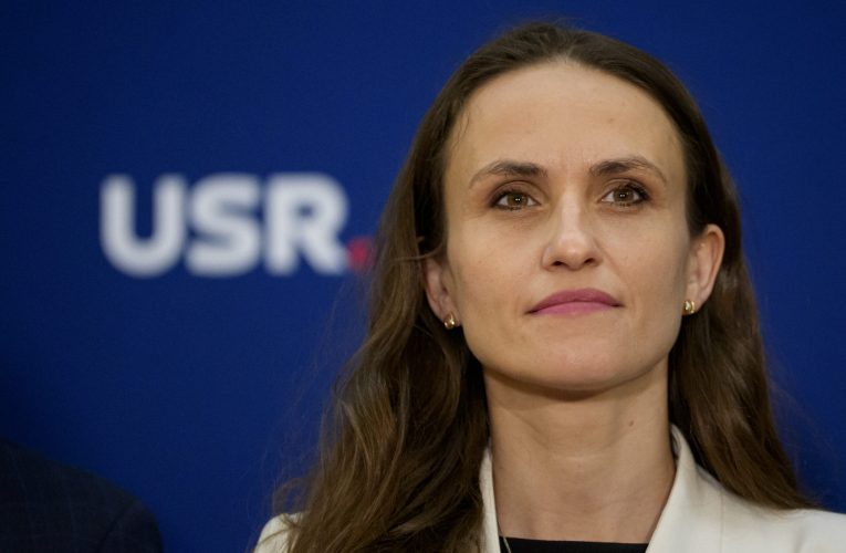 Oana Țoiu: România a fost și continuă să fie ținta eforturilor de interferență străine