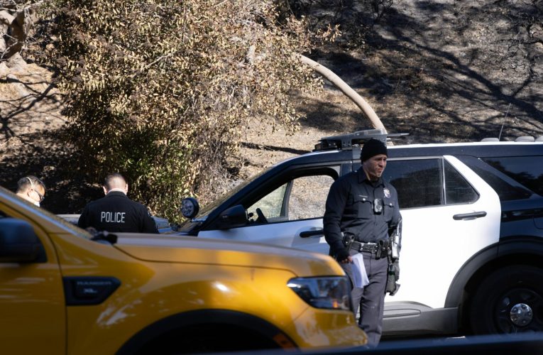 Peste 20 de răniți după ce o mașină a intrat într-o mulțime din Los Angeles